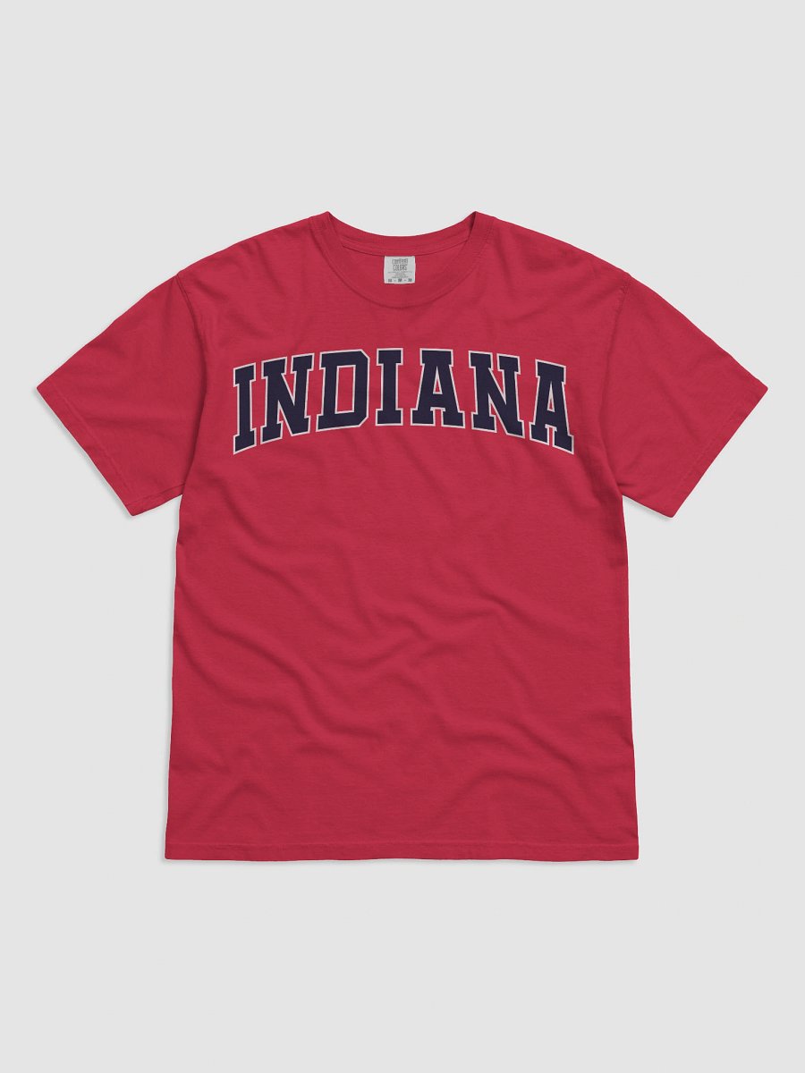 Indiana Vintage Stylish Unisex Garment-Dyed T-shirt product image (2)