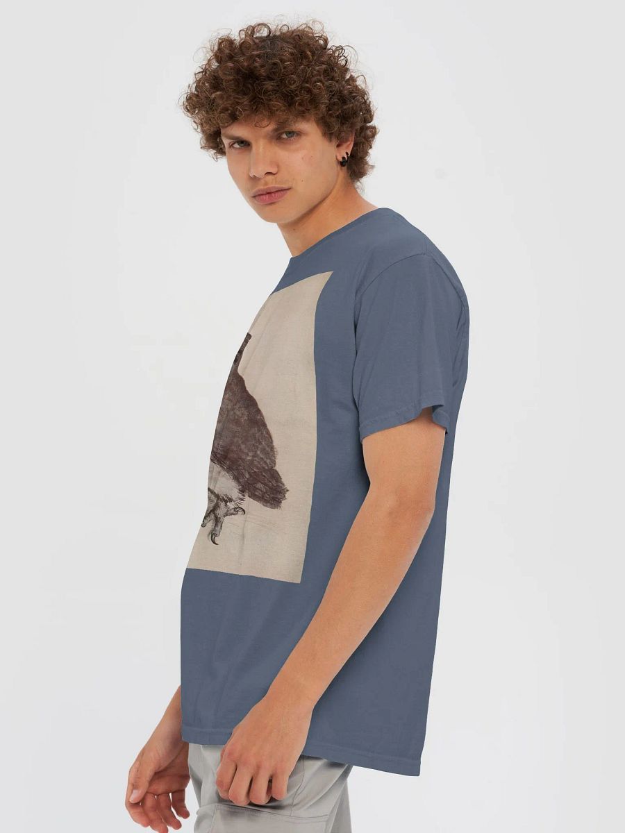Albrecht Durer The Little Owl Graphic Tee product image (75)