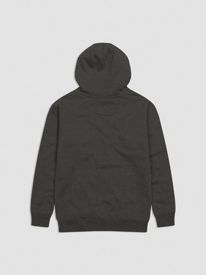 Embroidered Chest Logo Hoodie (Vintage Black) product image (2)