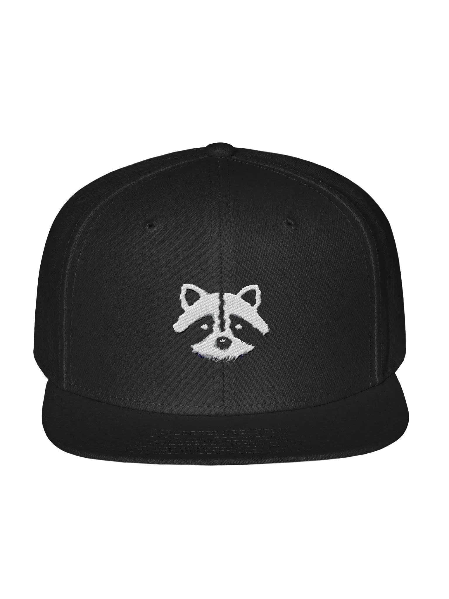 logo snapback product image (1)