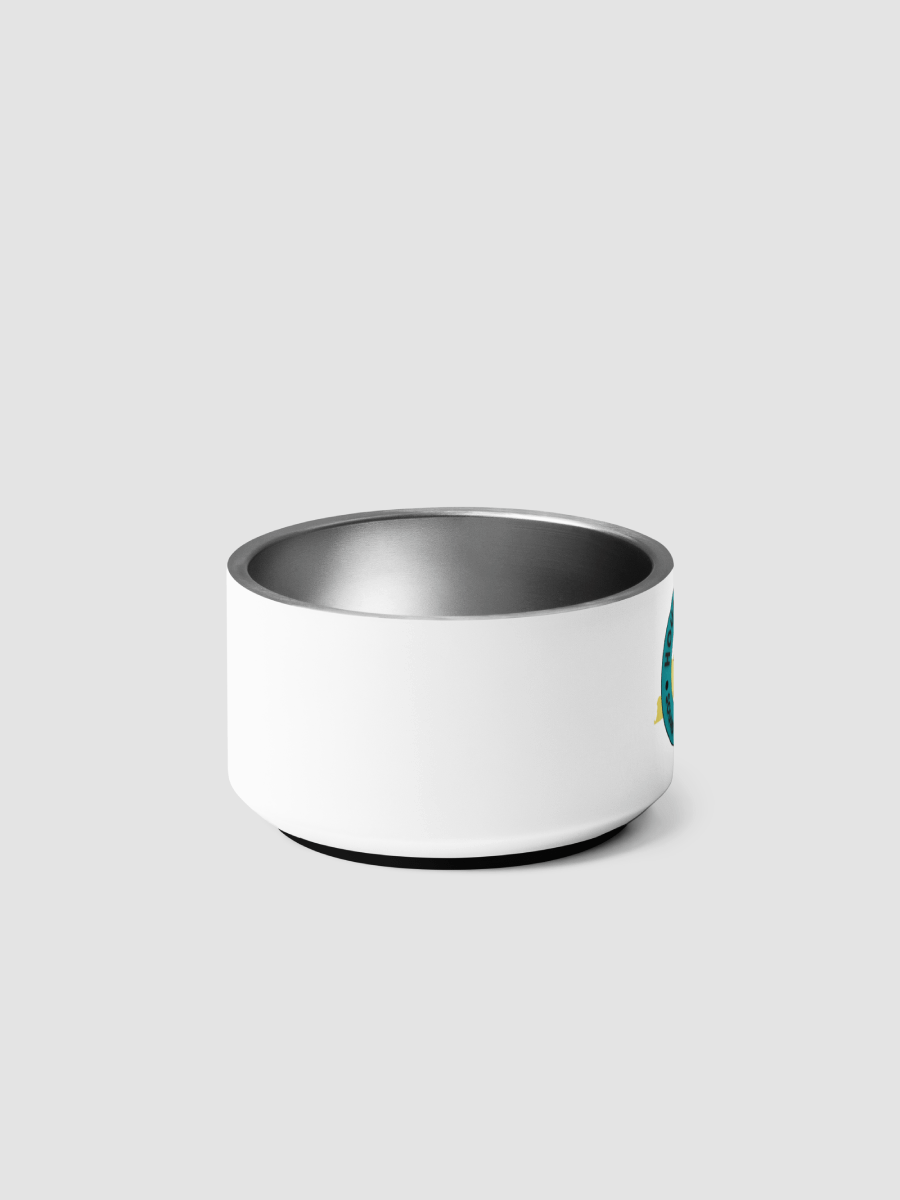 [96.1 Hound FM] Pet Bowl product image (7)