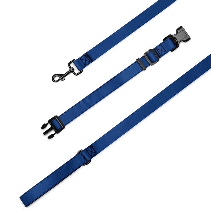 Lucky Dog Blue Pet Collar & Leash Set 06 product image (2)