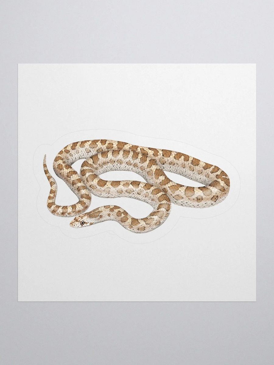 Die-Cut Sticker – Glossy Snake product image (1)