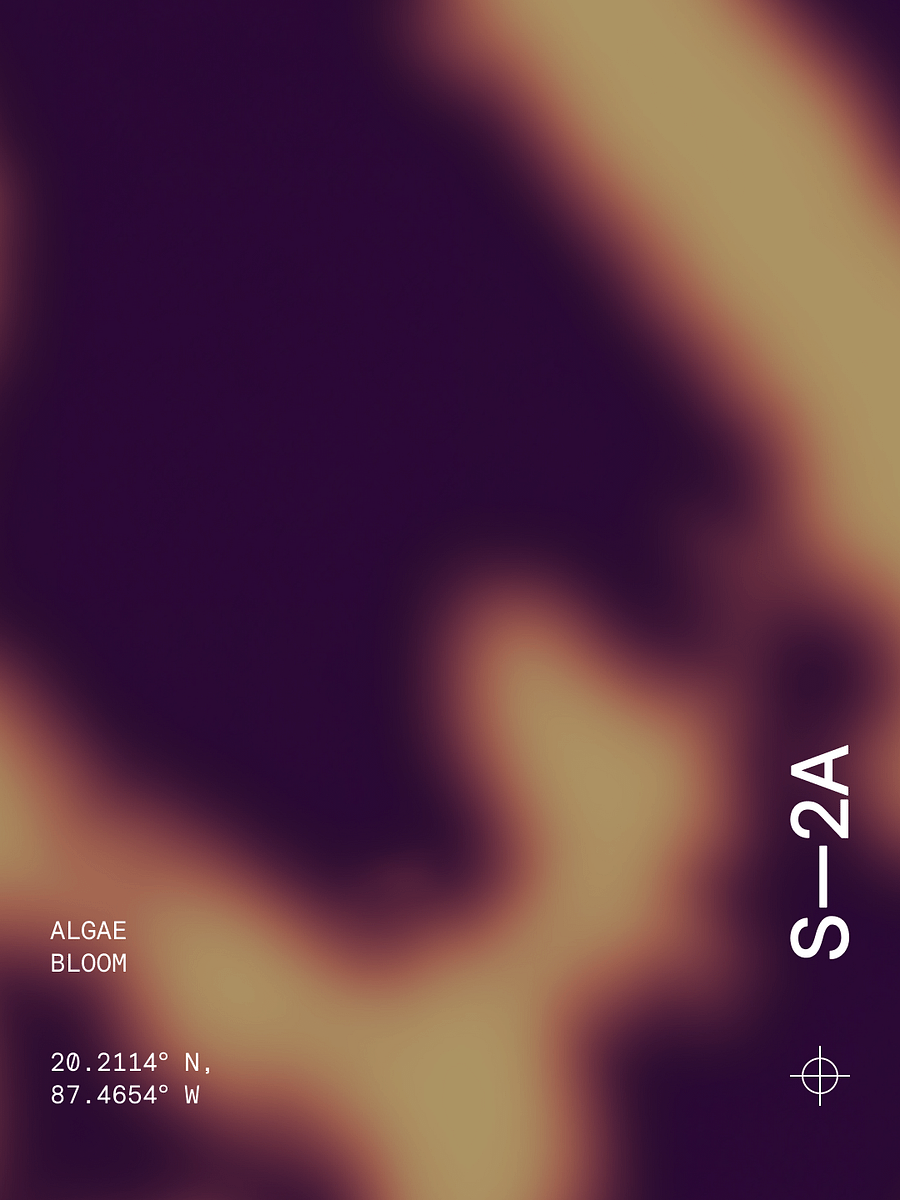 Digital Artwork | Algae Bloom product image (1)