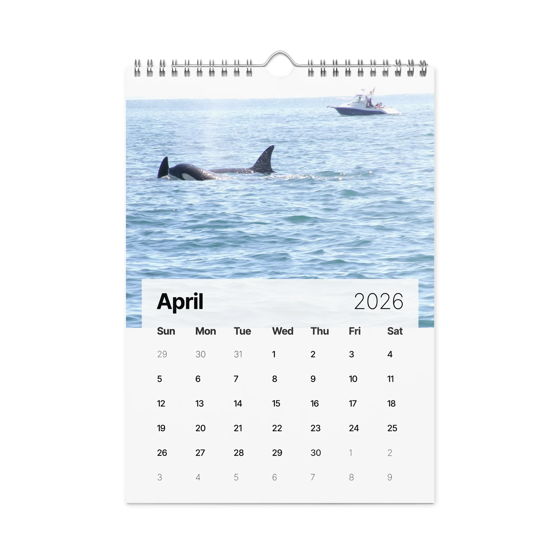 CRAVONE - 2026 Orca Calendar product image (1)