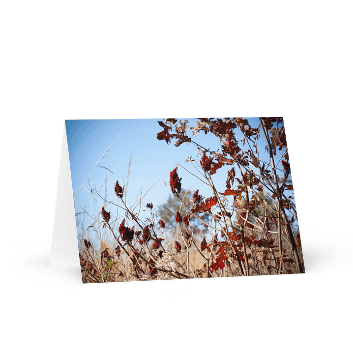 Nature's Palette Greeting Card product image (1)