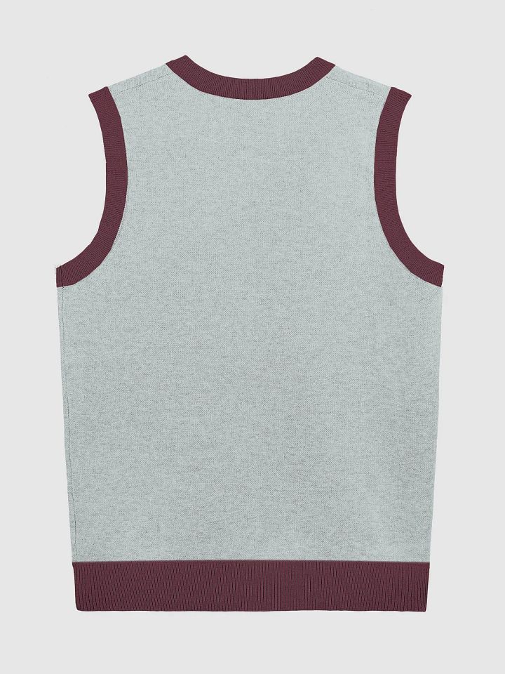 Dynamic Silhouette Knit V-Neck Vest product image (2)