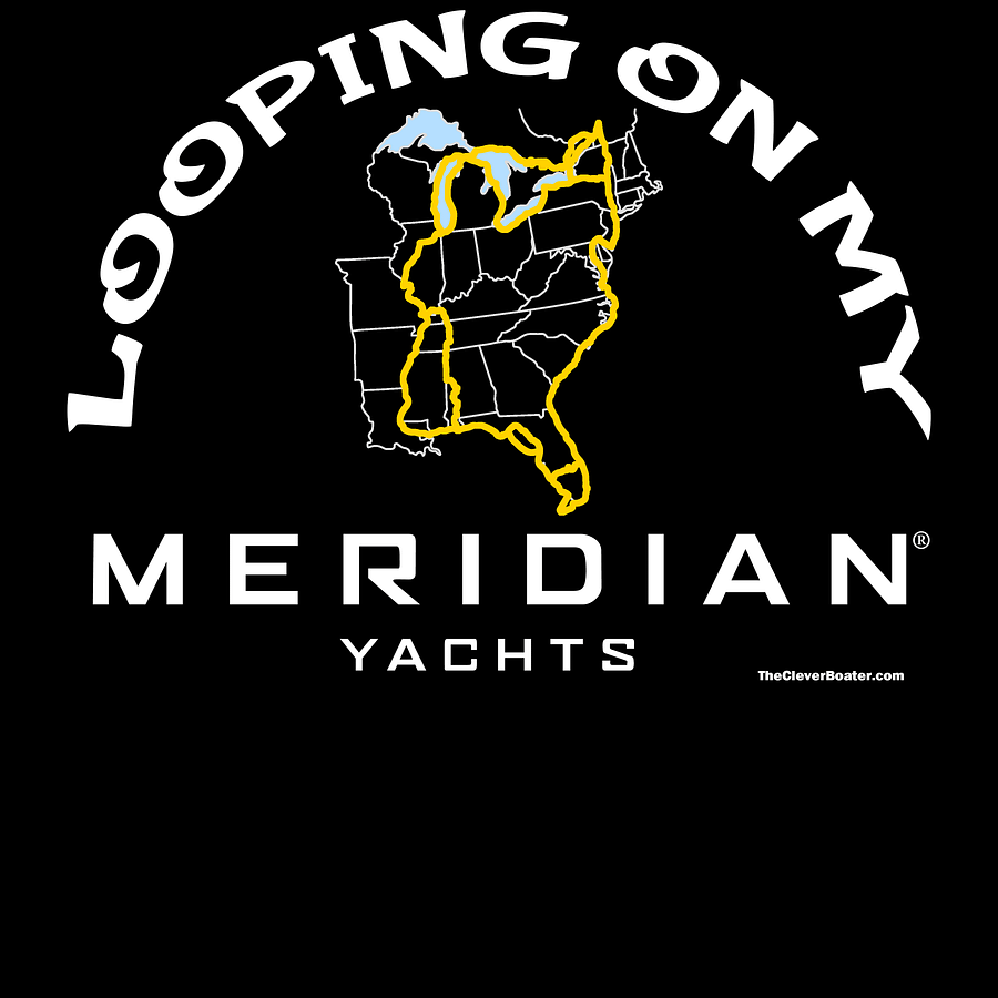 Looping On My Meridian - T-Shirt - Dark Shirt w/White Logo product image (5)
