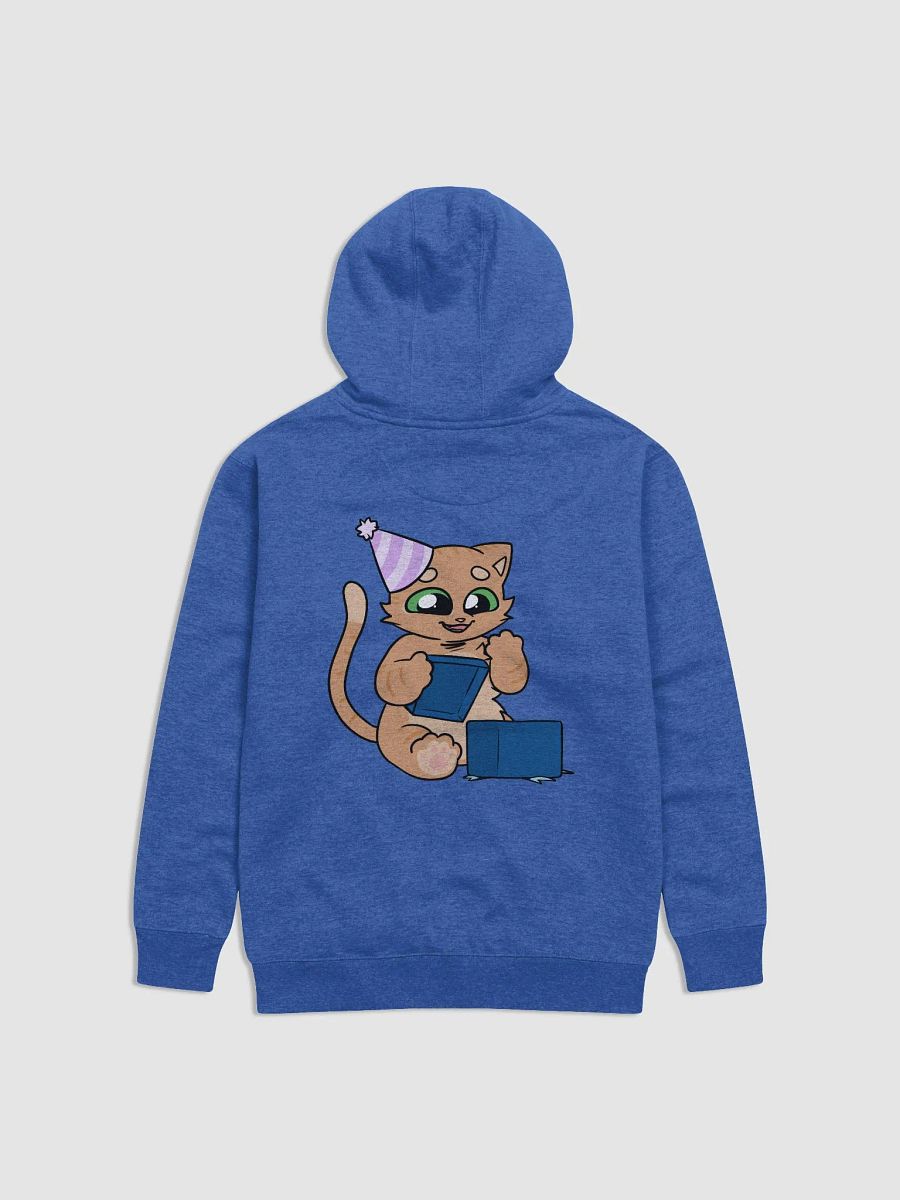 Birthday Baby Unisex Hoodie product image (4)
