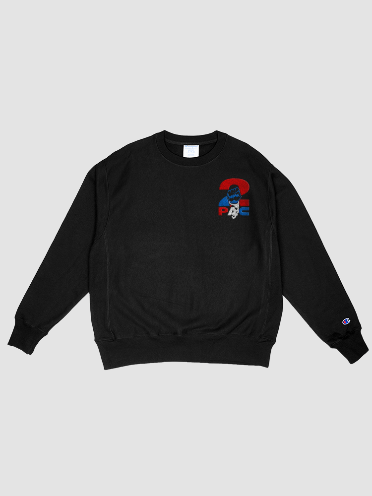 Champion Embroidered sweatshirt product image (1)