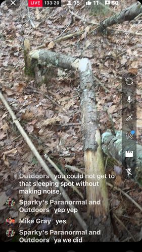 Structures tell a story! #fyp #viral #bigfoot #insta #instagram #cryptid #yt #youtube #sasquatch #tiktok