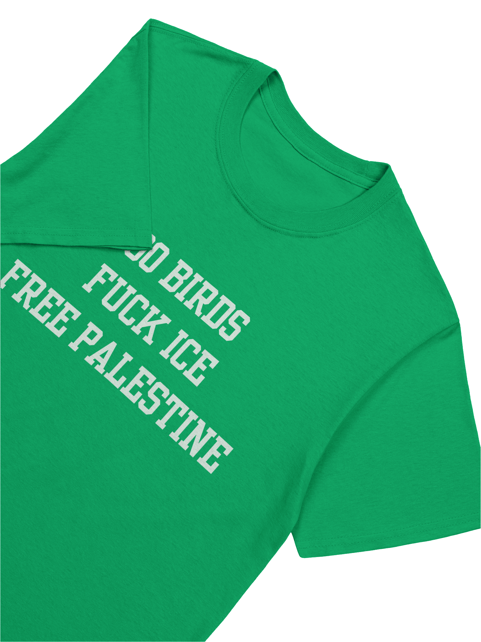 Go Birds! Fuck ICE! Free Palestine! product image (5)