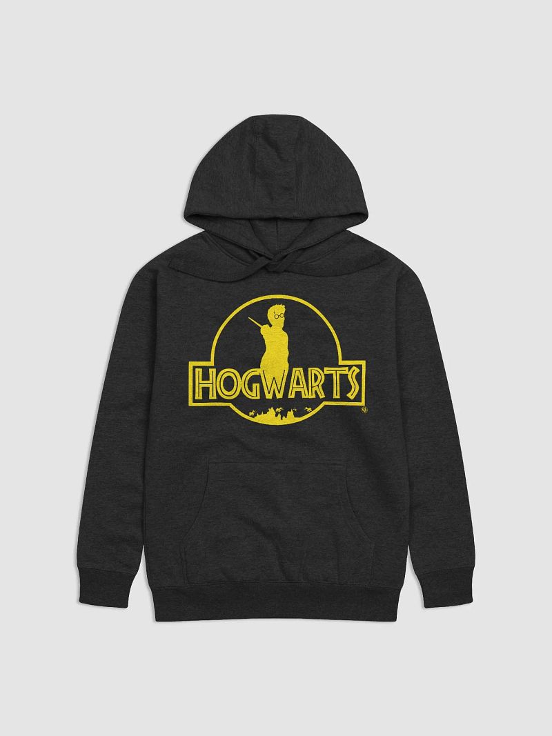 Hogwarts Park ( H ) Hoodie