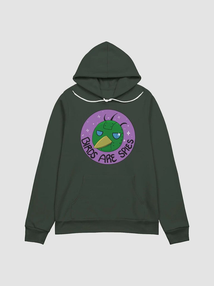 Birds Are Spies Hoodie product image (4)