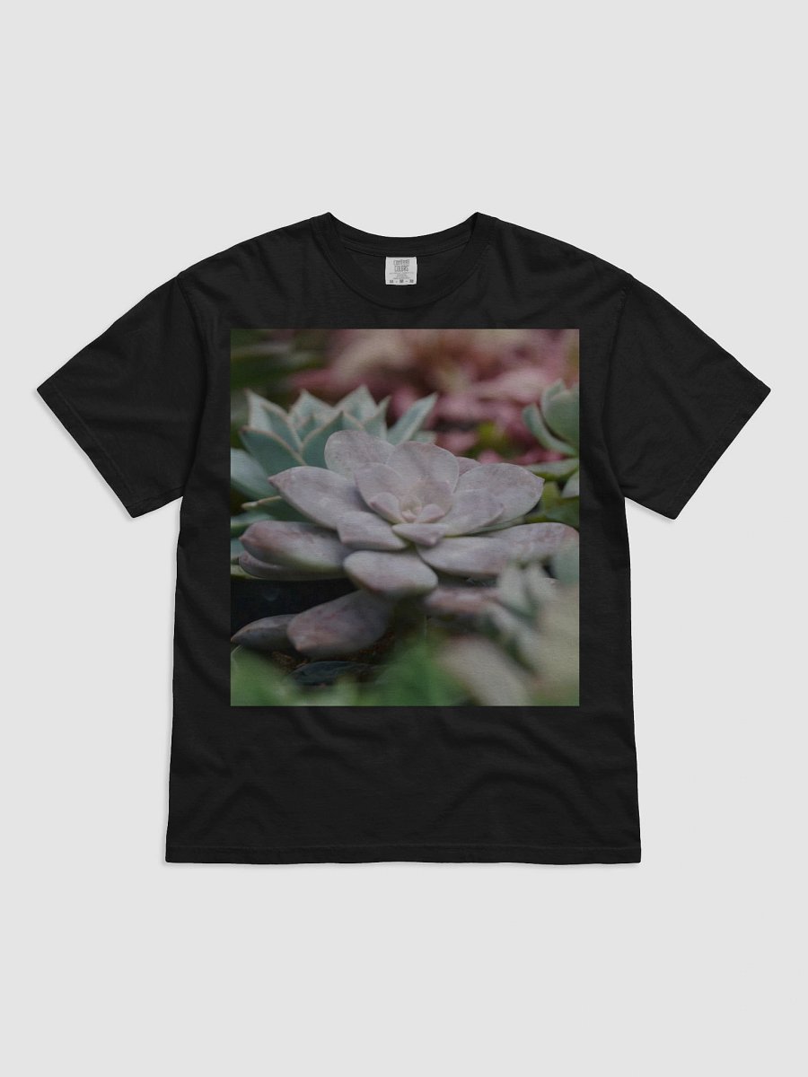 Succulent Serenity Cotton T-Shirt product image (1)
