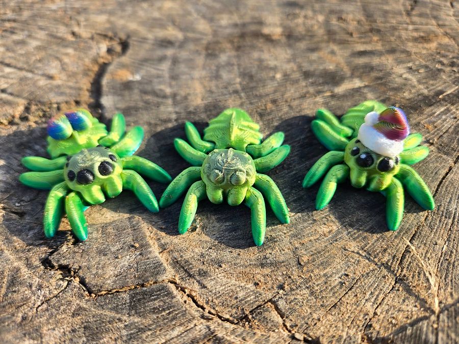 Adopt a Spider! product image (2)