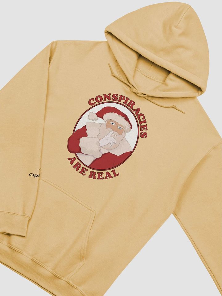 Conspiracies Are Real - Santa Claus - Gildan Classic Hoodie product image (25)