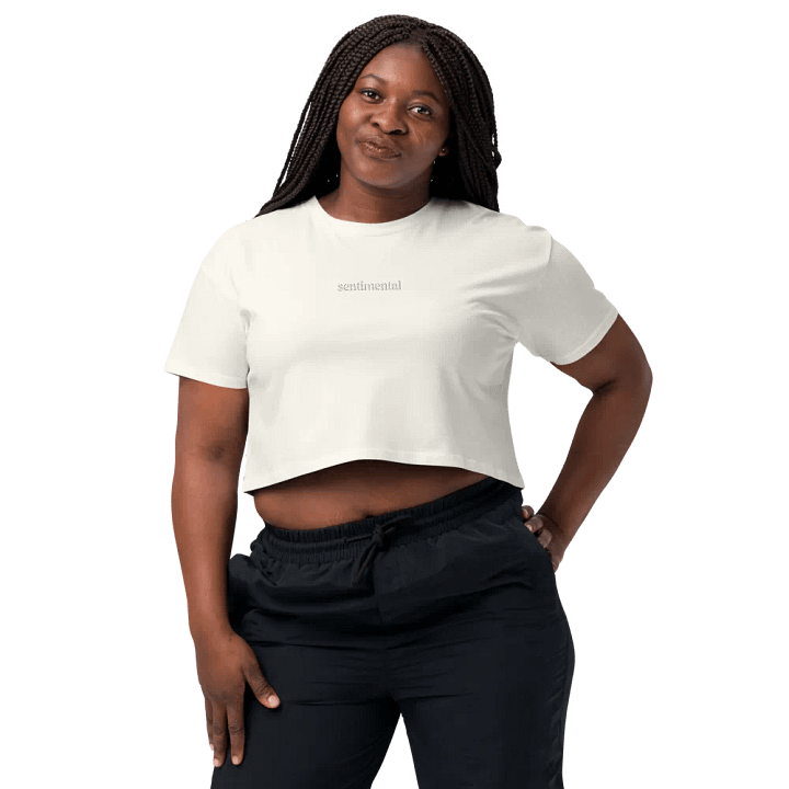 Sentimental Embroidered Crop Top product image (2)