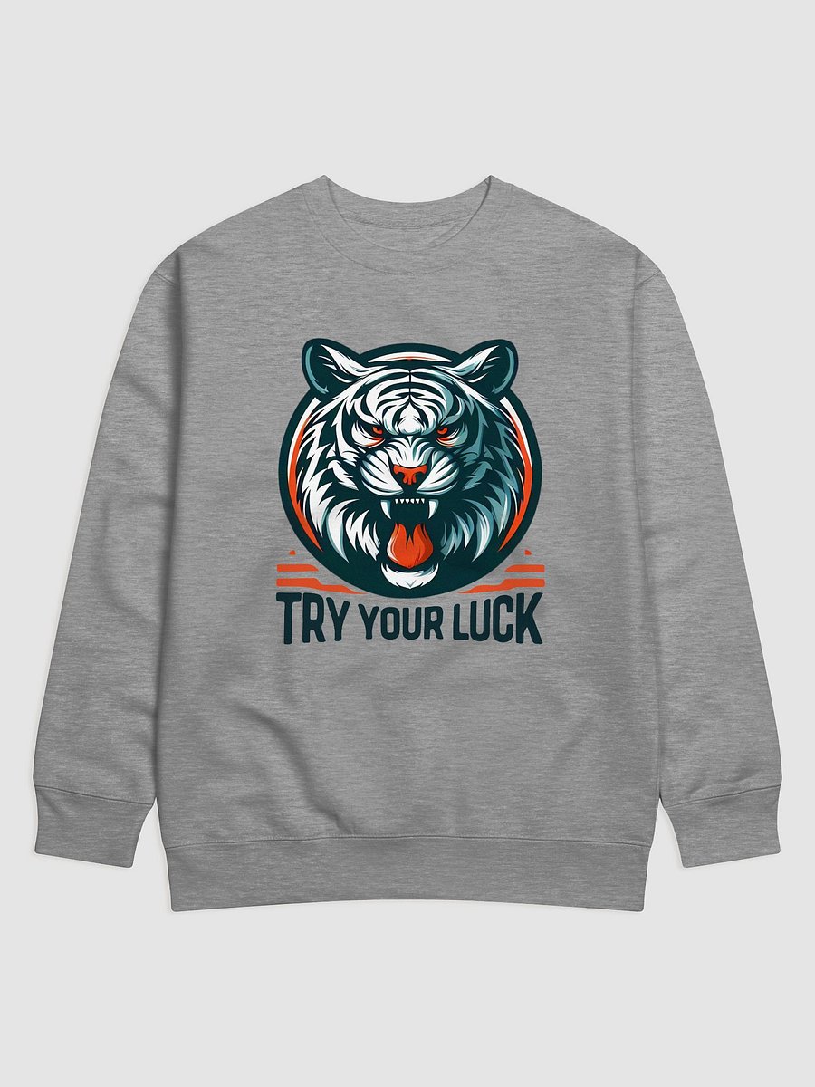 TRY YOUR LUCK product image (1)
