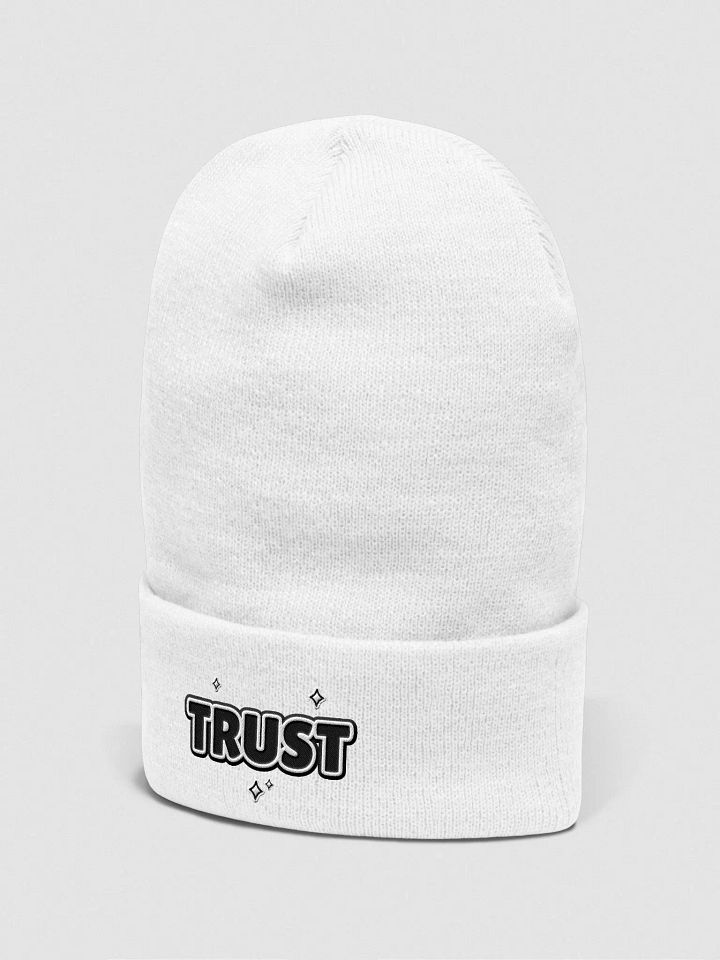TRUST Cuffed Beanie product image (7)