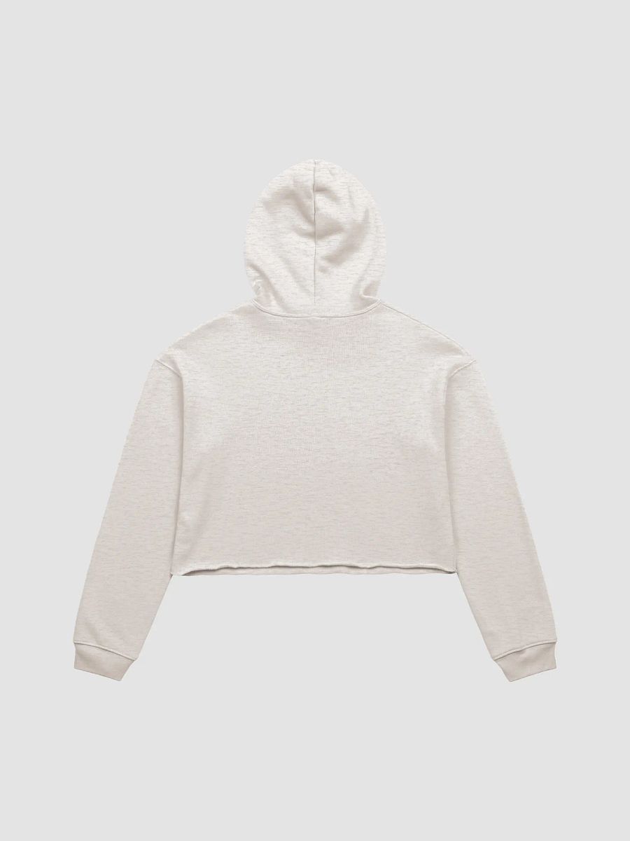Ricky 305 Crop Top Hoodie product image (3)