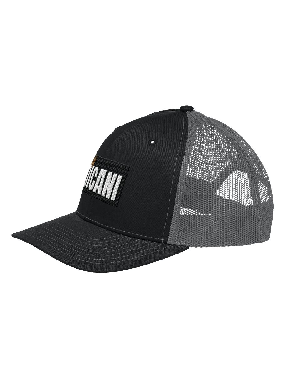 Crowned OICANI Snapback product image (12)