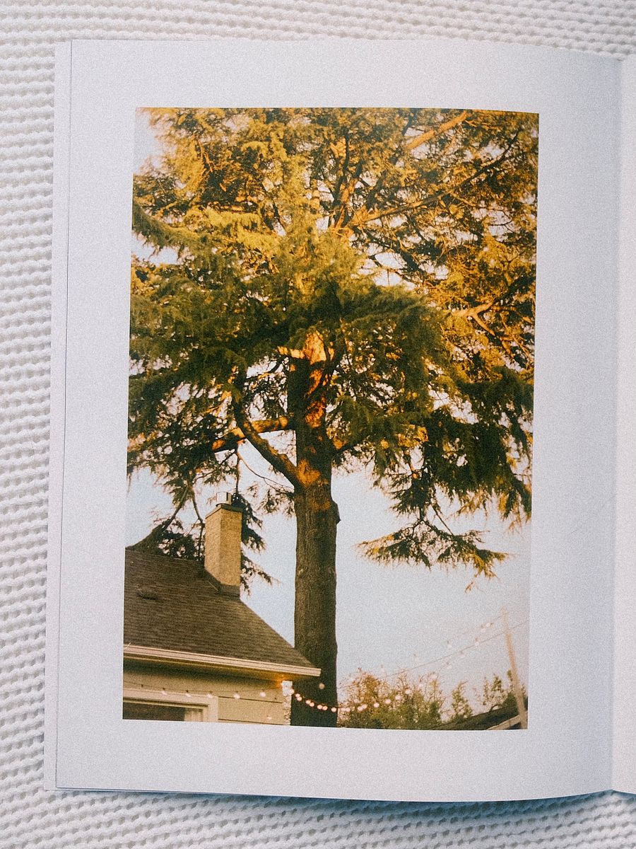 *PREORDER* The Spaces Between Us - Madison Miller (subsequencing) product image (3)