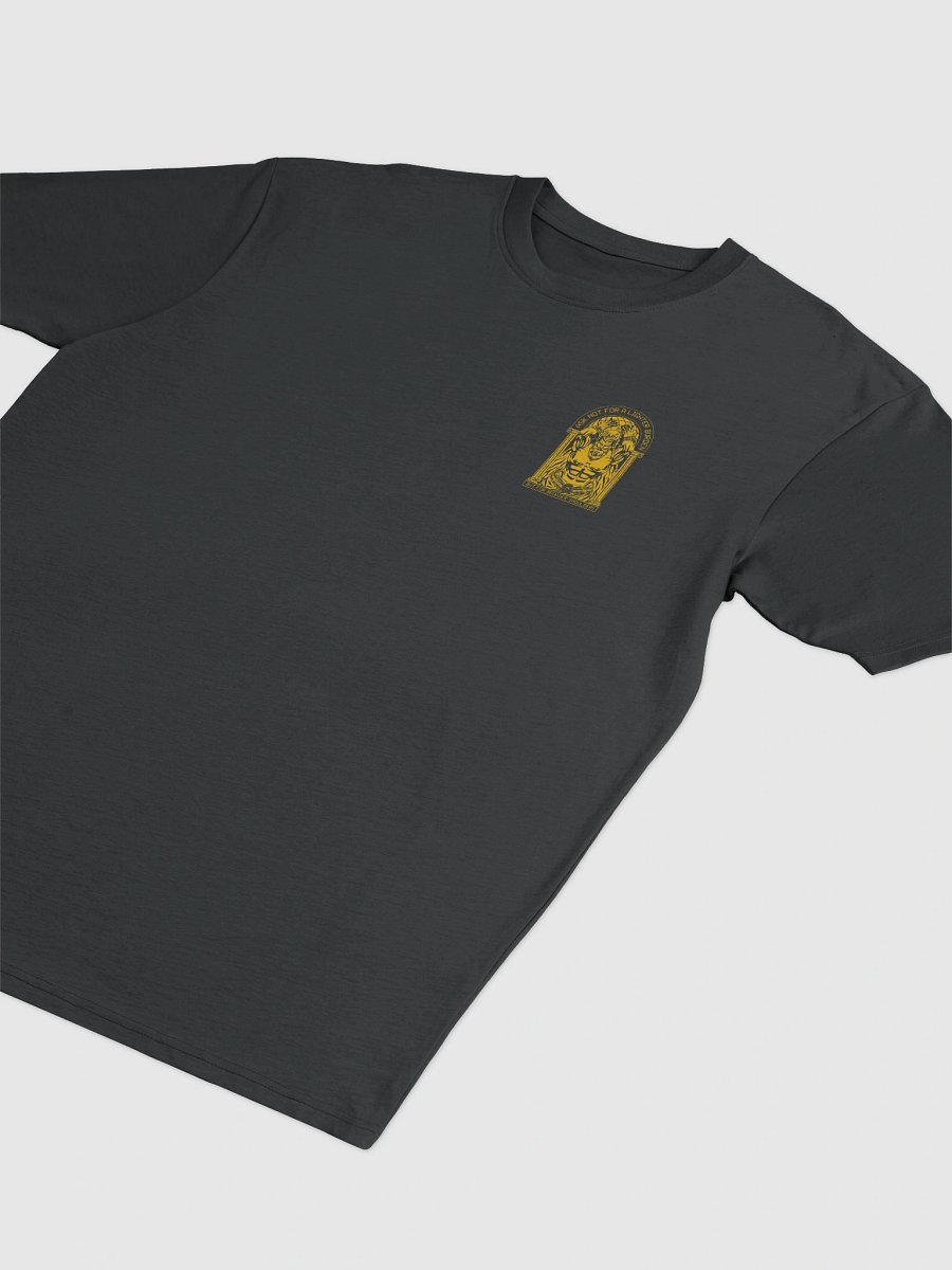 Atlas gym gear Heavy Tee product image (4)