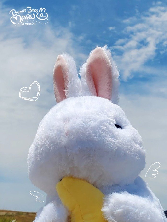 Bunny Boss Maru Plush (PRE-ORDER) product image (4)