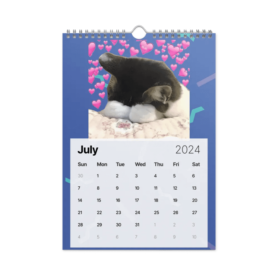 Wall Calendar (2024): Meme Cats product image (10)