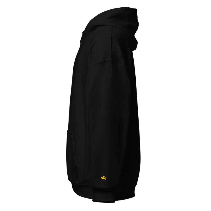 Very Fancy Embroidered Hoodie product image (2)