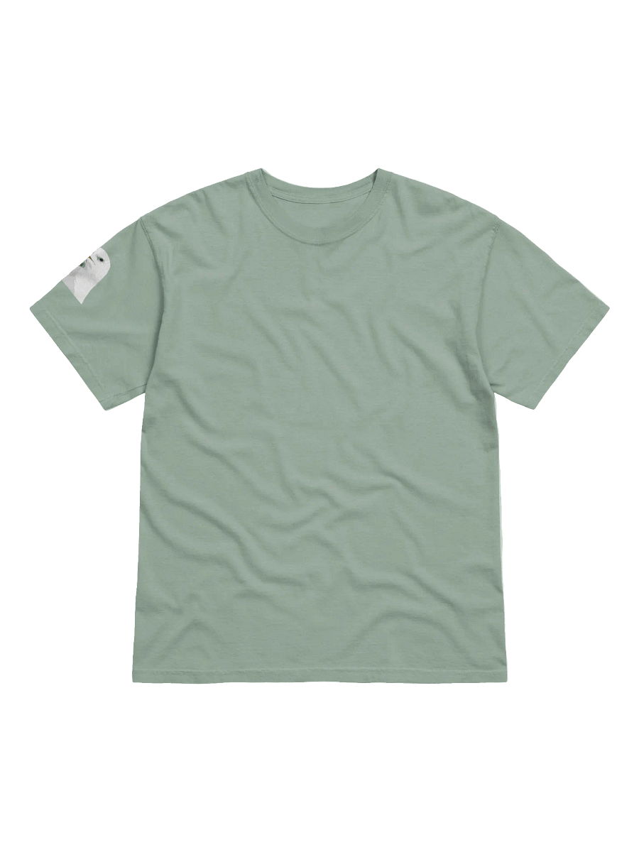 Solidarity with the seagulls product image (2)