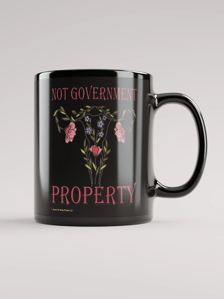 Women's Rights - Not Government Property product image (1)