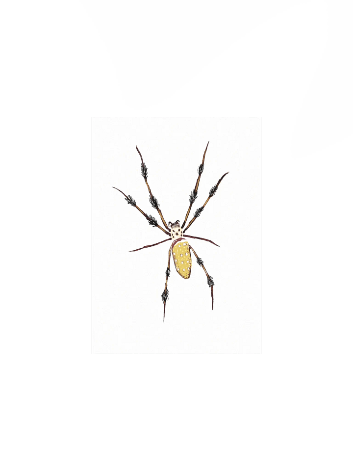 Smart Spider Mini Print product image (1)