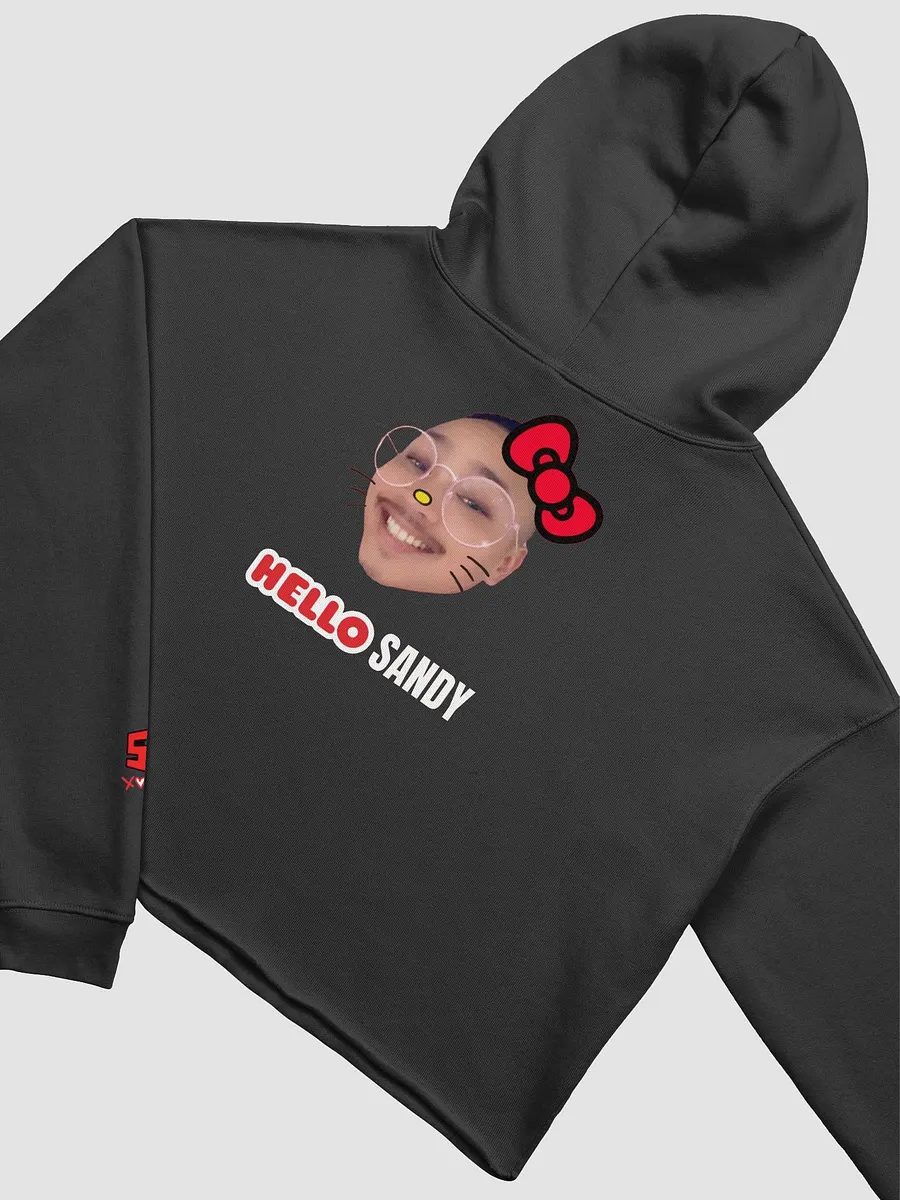Hello Sandy Crop Hoodie product image (4)