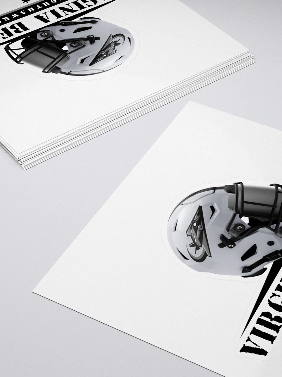 Virginia Beach Nighthawks Stickers product image (4)