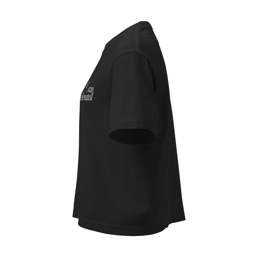 Stay Elevated Box Crop Embroidered Tee (Dark) product image (4)
