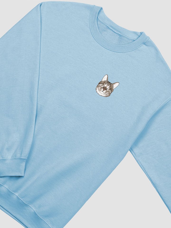 Blind Cat Dmitri Sweatshirt product image (4)