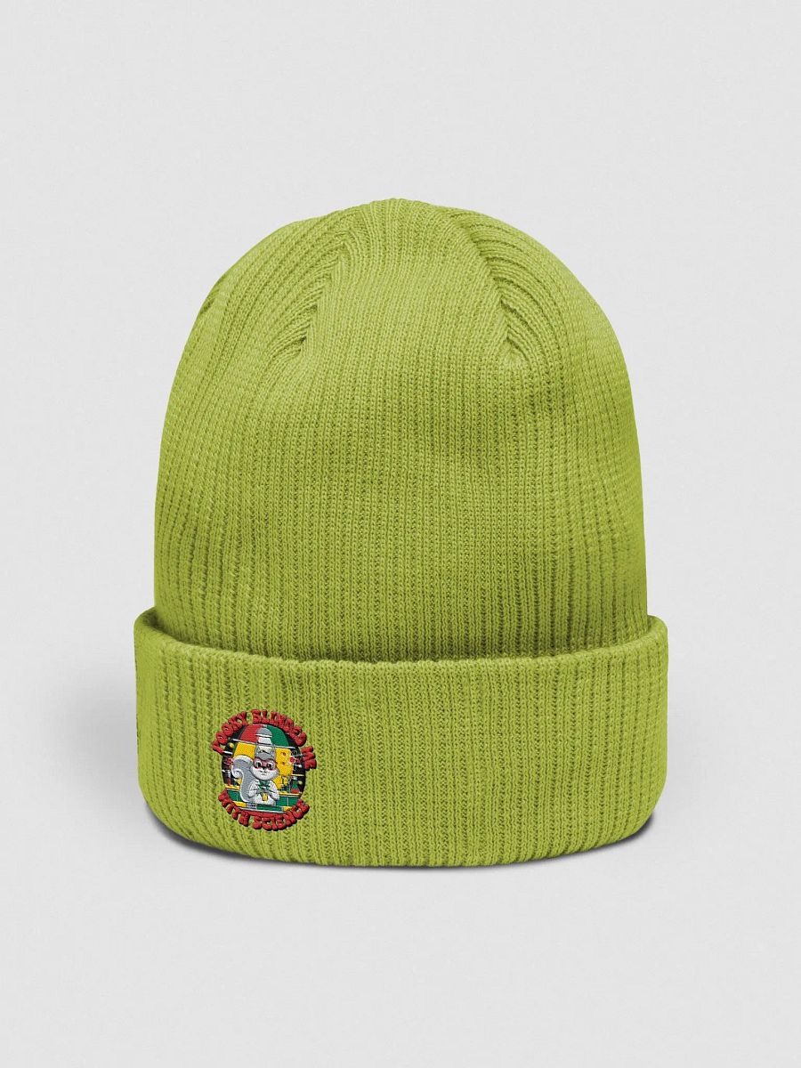 Organic Cotton Embroidered Pooky Scientist Beanie product image (2)
