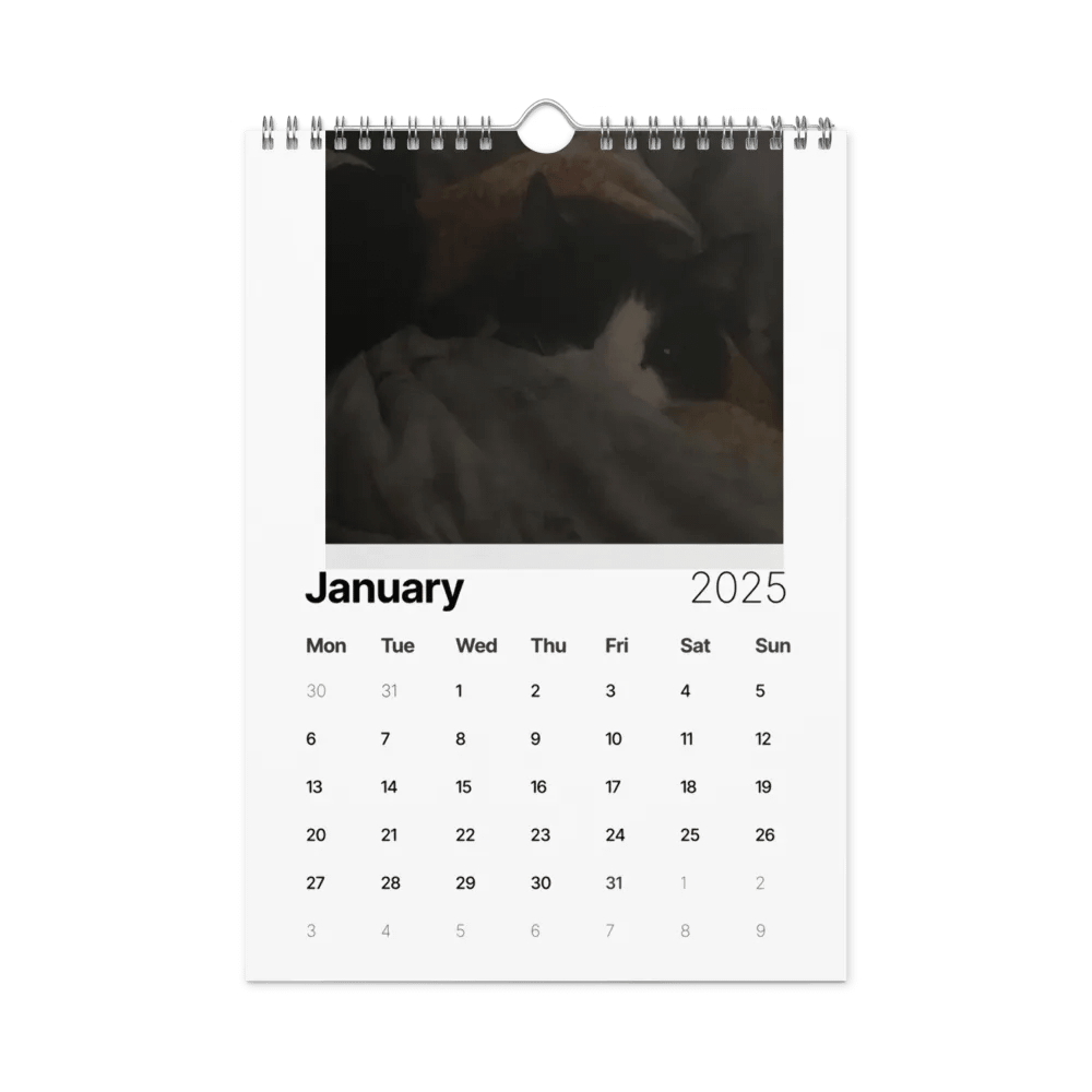 50 Shades of Haru - 2025 Wall Calendar product image (6)