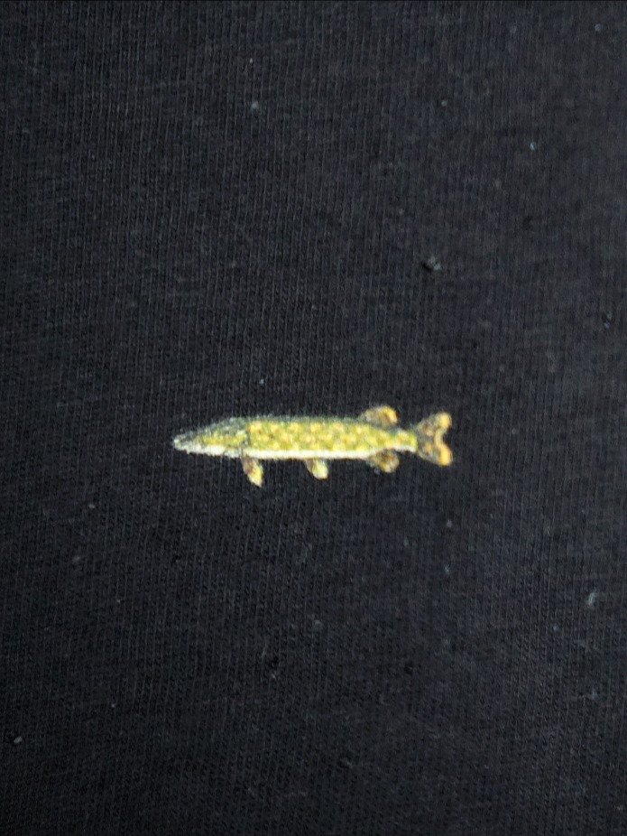 Esox with a Bream t-shirt product image (9)