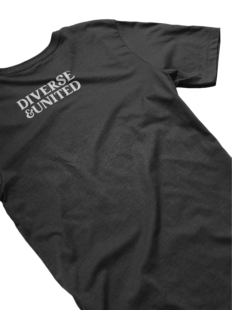 Connected Souls Diverse and United Bella+Canvas Supersoft T-Shirt product image (42)