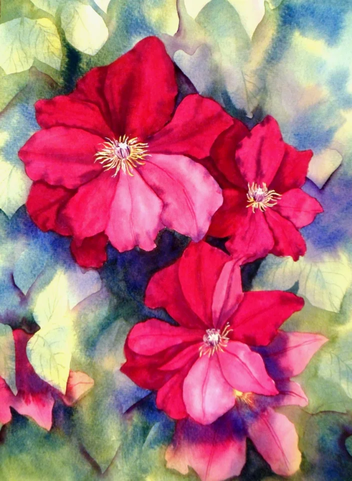 Deep Pink Clematis Step By Step Worksheet product image (1)