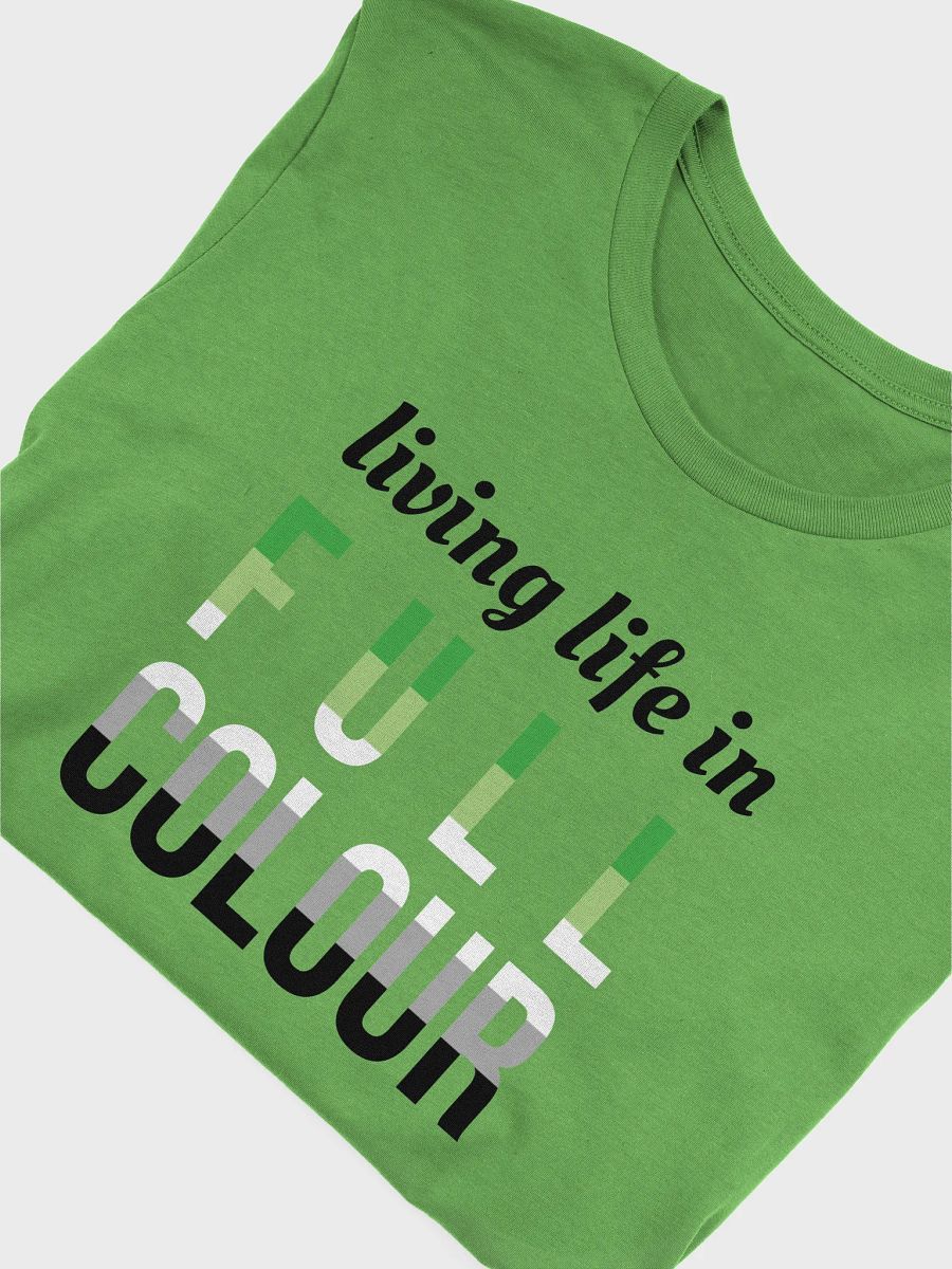 life in full colour aromantic t-shirt product image (5)