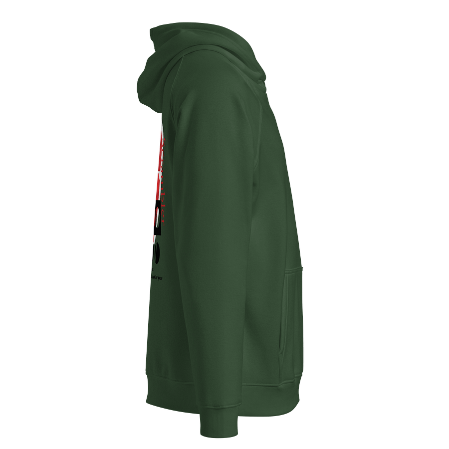 SOL'S Unisex Eco Raglan Man Hoodie product image (4)