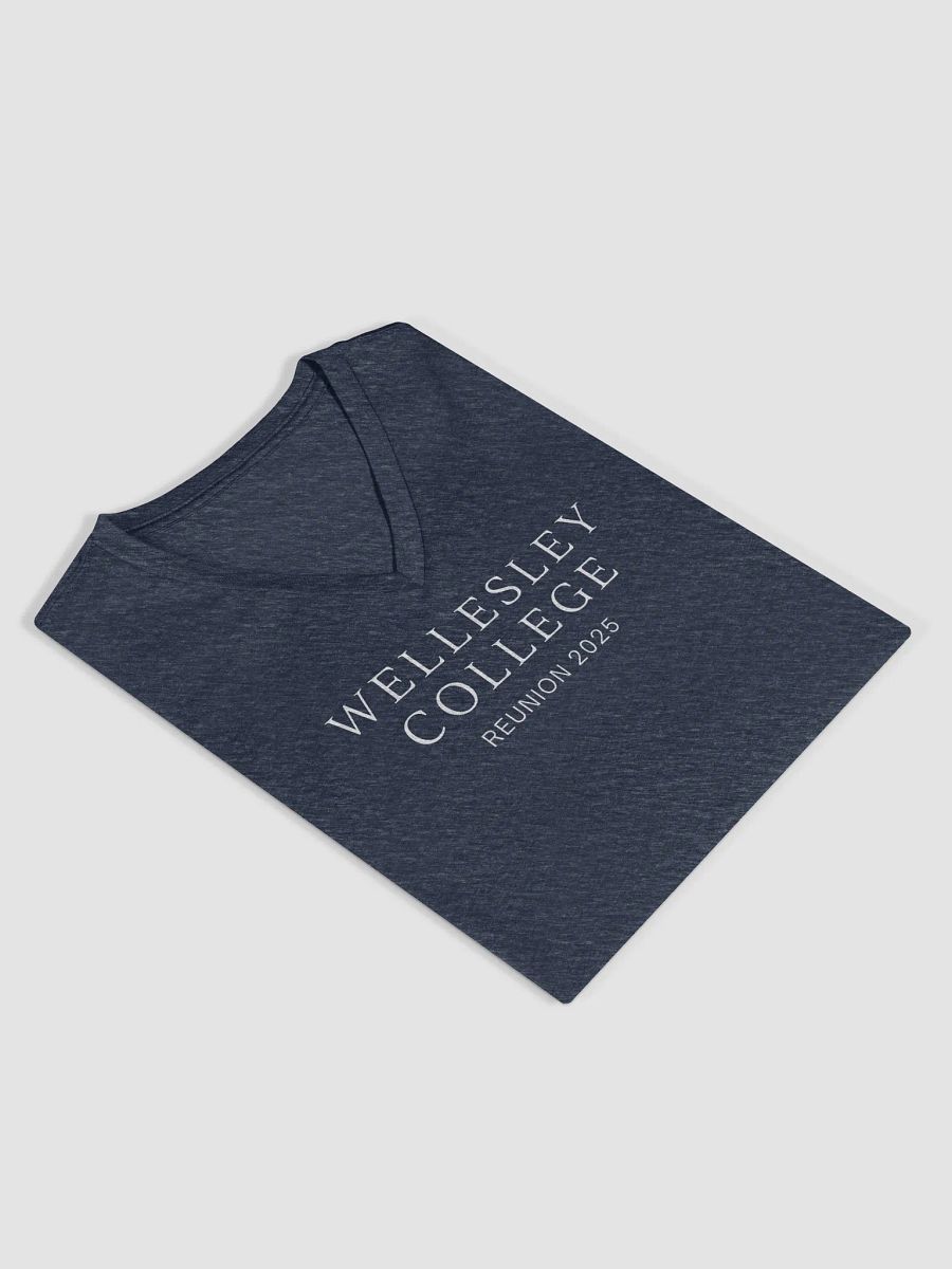 Minimalist Serif Reunion V-Neck with Small Wellesley College Seal on Back product image (4)