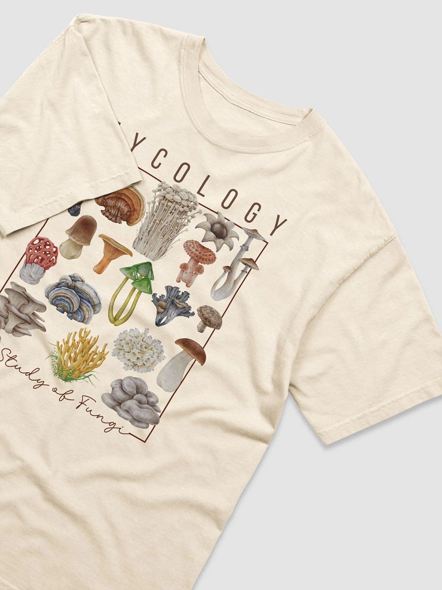 Mushroom Lover's Mycology Tee - Study of Fungi Design product image (3)