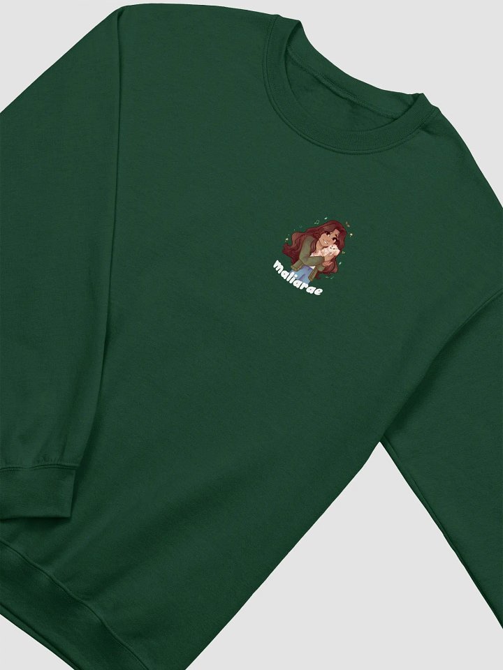 LHA Sweatshirt product image (2)