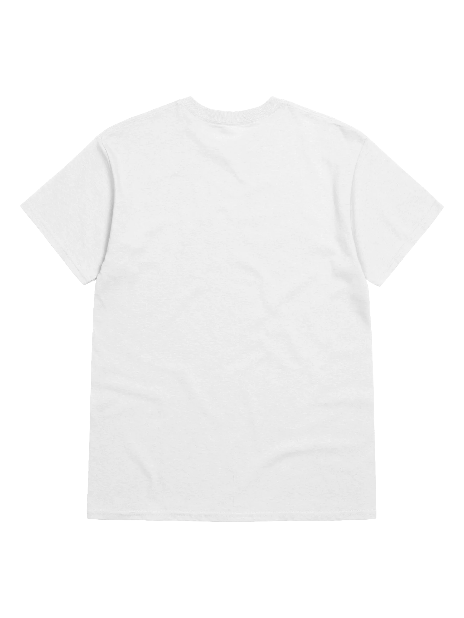 If I End Up Like My Mother, Please Euthanize Me T-Shirt product image (5)