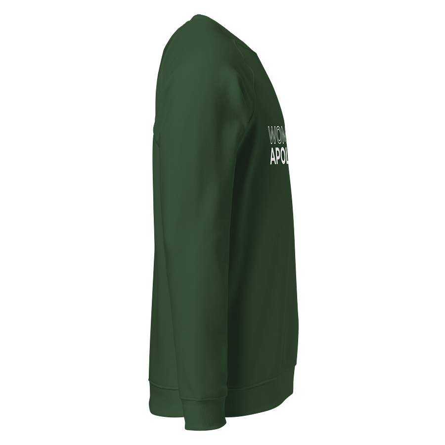 Women in Apologetics Women's Emerald Green Raglan Sweatshirt product image (4)